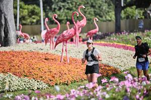 BIB: 
                            <button type="button" onclick="openModal(27793186)" class="btn btn-primary btn-sm float-right btn-popup" data-toggle="modal" data-target=".modal-high-quality">
                        <i class="fas fa-shopping-cart"></i> Add to Cart
                    </button>
                                            <button type="button" onclick="isThisMe(27793186, true)" class="btn btn-success btn-sm float-right btn-popup btn-isme hidden" data-toggle="tooltip" data-placement="bottom" title="นี่คือรูปของคุณใช่ไหม คลิกที่นี่เพื่อเอาเข้าอัลบั้ม">
                        <i class="fas fa-plus"></i> Add to album
                    </button>
                    <button type="button" onclick="isThisMe(27793186, false)" class="btn btn-warning btn-sm float-right btn-popup btn-isnotme hidden">
                        <i class="fas fa-ban"></i> Remove from album
                    </button>